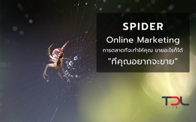 Spider Online Marketing การตลาดที่จะทำให้คุณขายอะไรก็ได้ ที่คุณอยากขาย